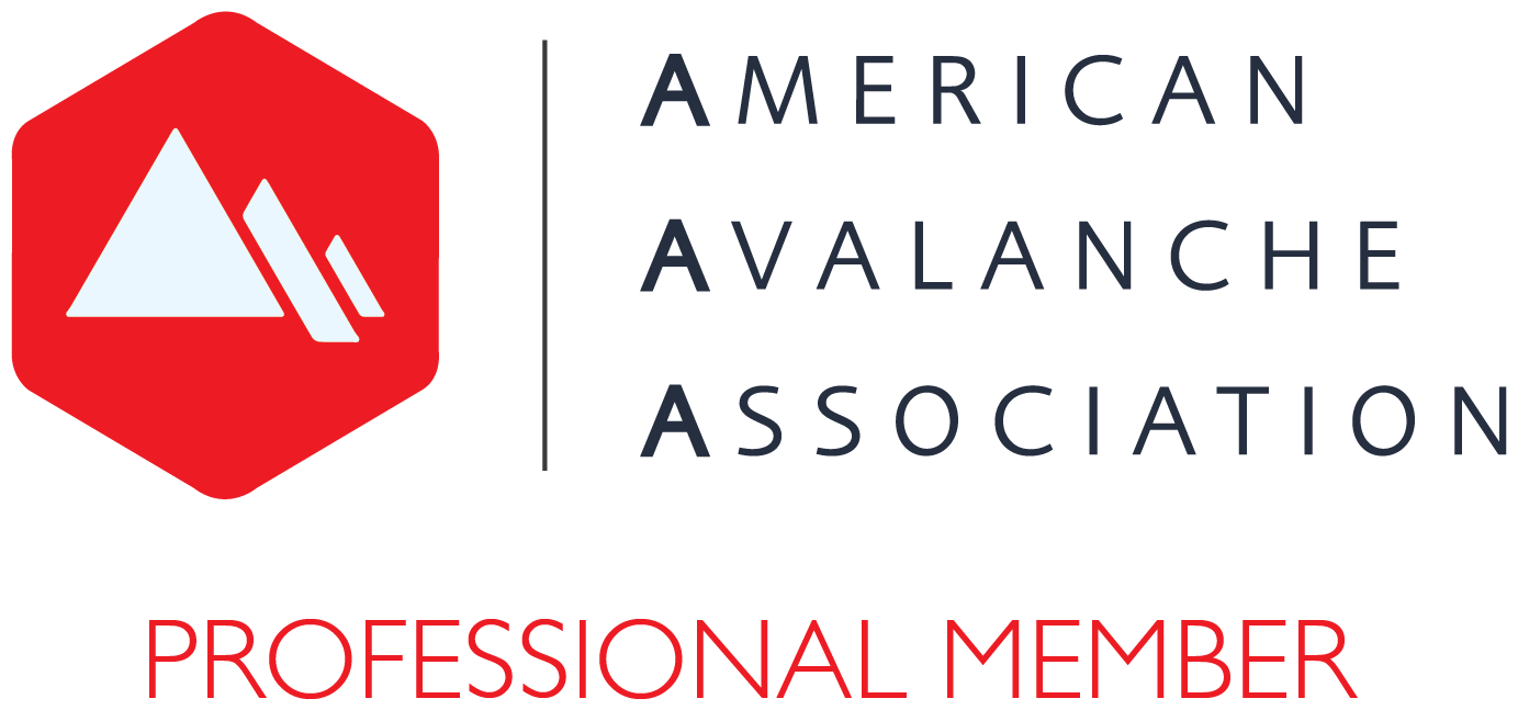 American Avalanche Association — Professional Member